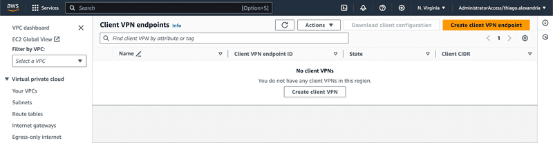 client-vpn-1